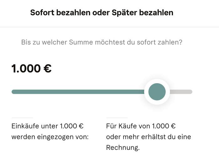 Zahle deine Tasche Häppchenweise mit Klarna Ratenzahlung ab